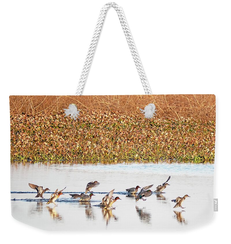 Ducks Weekender Tote Bag featuring the photograph Landing Zone by Jerry Connally
