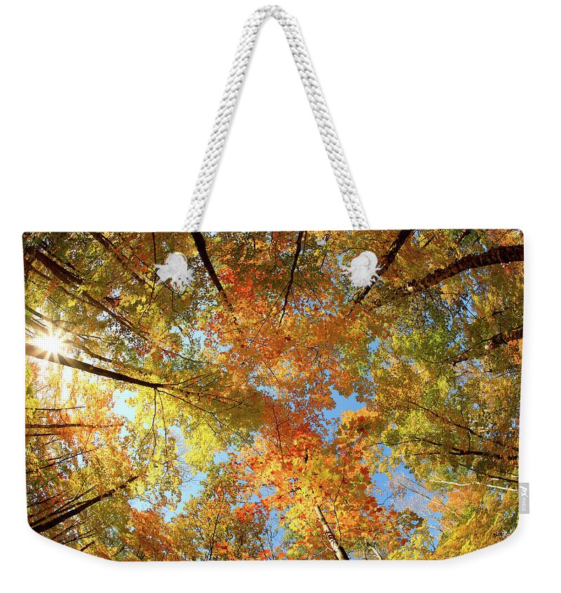 Canopy Weekender Tote Bag featuring the photograph Langlade County Canopy by Todd Klassy