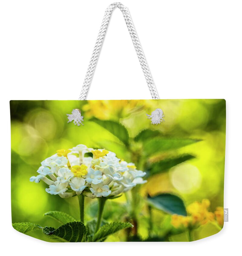 Background Weekender Tote Bag featuring the photograph Lantana Flowers by Raul Rodriguez