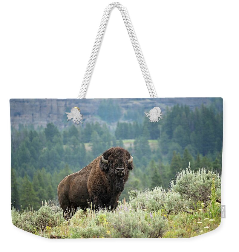 Buffalo Weekender Tote Bag featuring the photograph Large and In Charge by Eilish Palmer