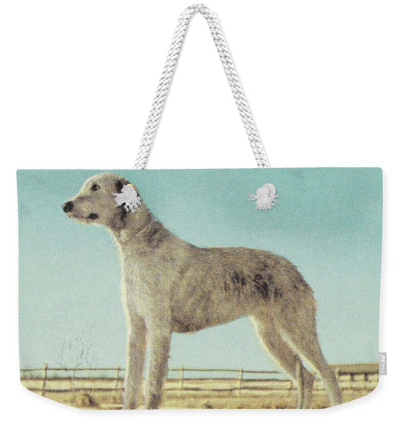Animal Weekender Tote Bag featuring the drawing Large Dog by CSA Images