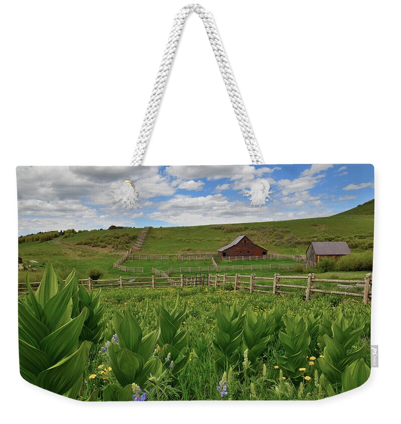 Colorado Weekender Tote Bag featuring the photograph Last Dollar Road Ranch Scene by Ray Mathis