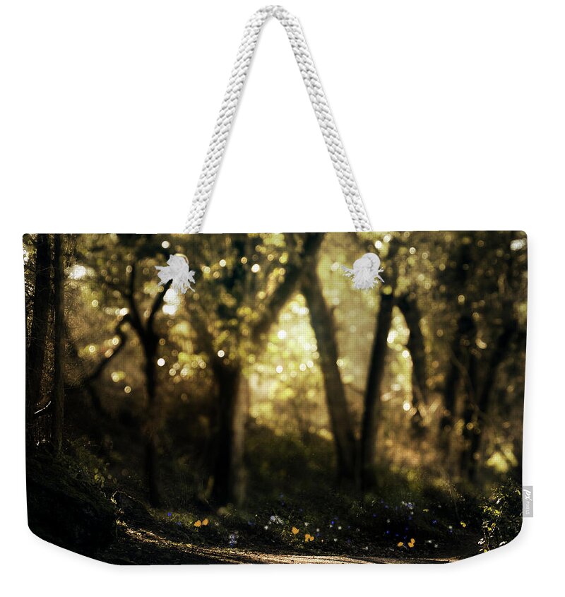  Weekender Tote Bag featuring the photograph Late Afternoon by Cybele Moon