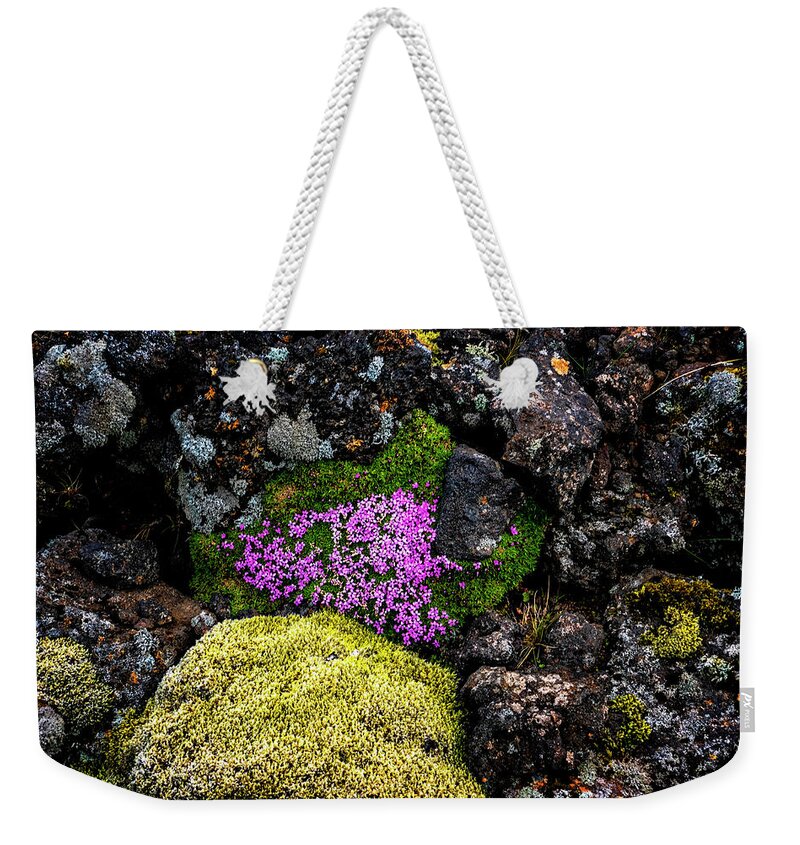 Iceland Weekender Tote Bag featuring the photograph Lava Rocks And Flowers by Tom Singleton