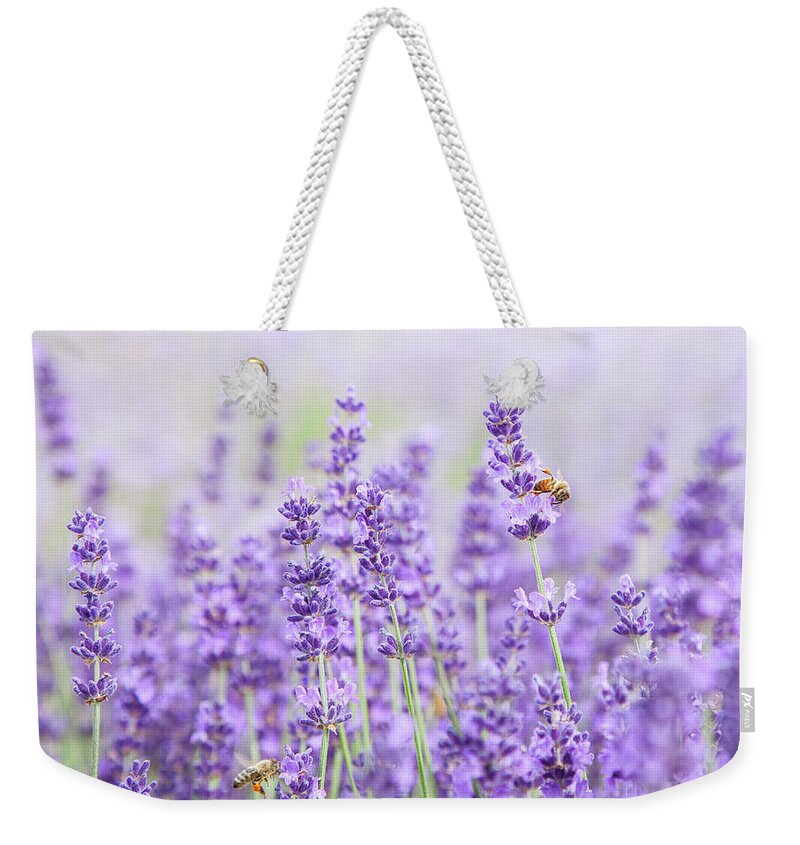 Lavender Weekender Tote Bag featuring the photograph Lavender Honey Factory by Theresa Tahara