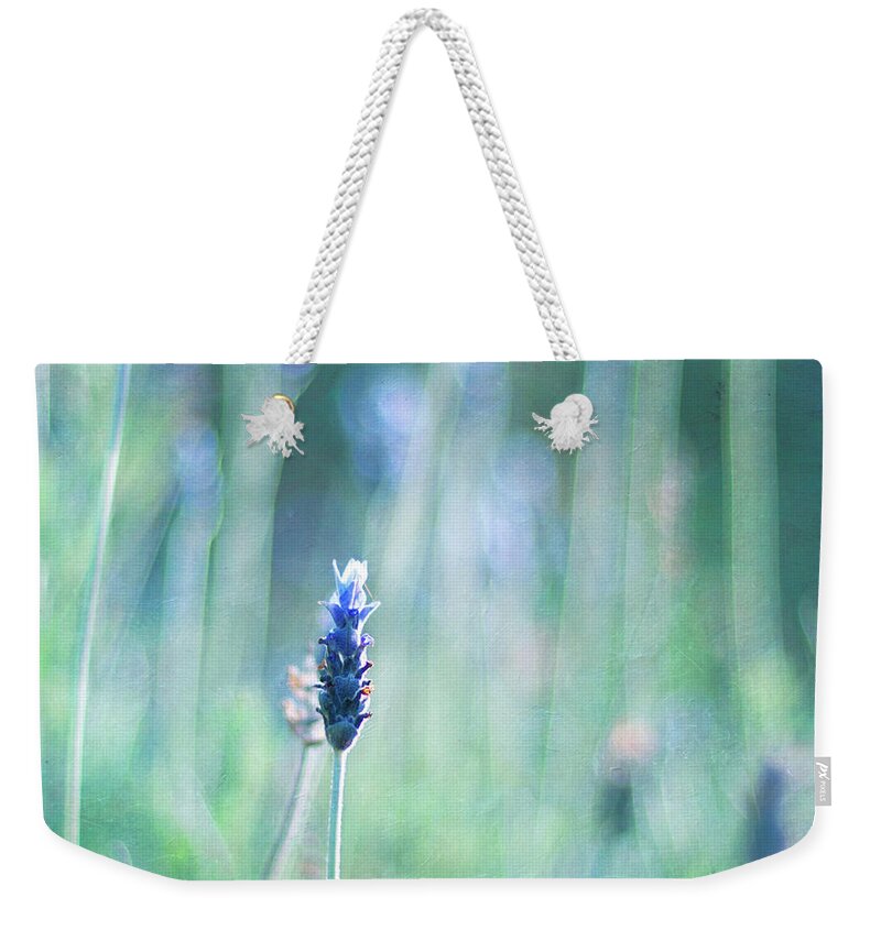 Outdoors Weekender Tote Bag featuring the photograph Lavender by Jill Ferry