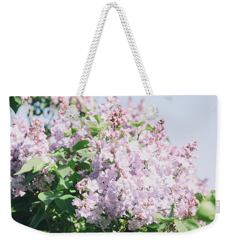 Scenics Weekender Tote Bag featuring the photograph Lavender Lilacs In Spring by Sasha Weleber