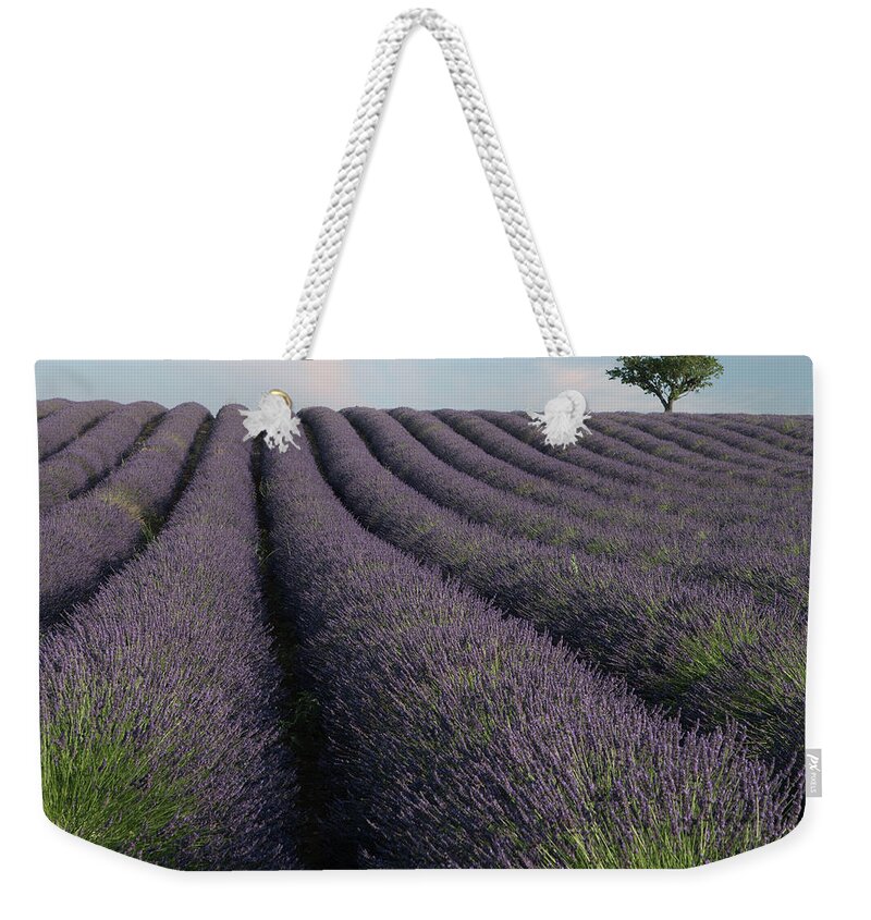 Lavender Weekender Tote Bag featuring the photograph Lavender Romance by Rob Hemphill