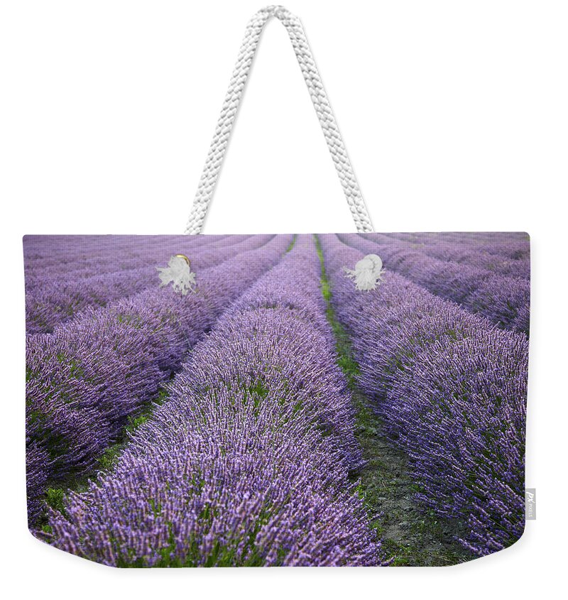 Scenics Weekender Tote Bag featuring the photograph Lavender by Thelinke