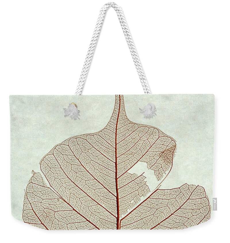 Leaf Weekender Tote Bag featuring the photograph Leaf by Christopher Johnson