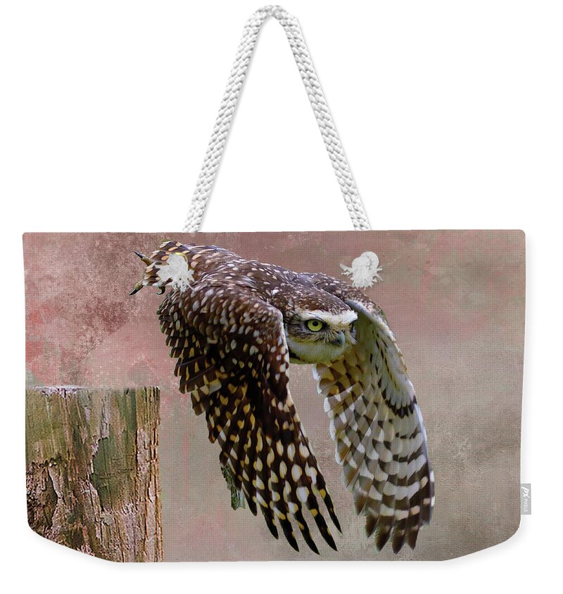 Burrowing Owl Weekender Tote Bag featuring the mixed media Leap of Faith by Kathy Kelly