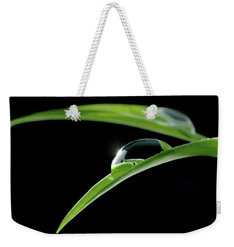 Flowerbed Weekender Tote Bag featuring the photograph Leaves And Drop Of Water by Trout55