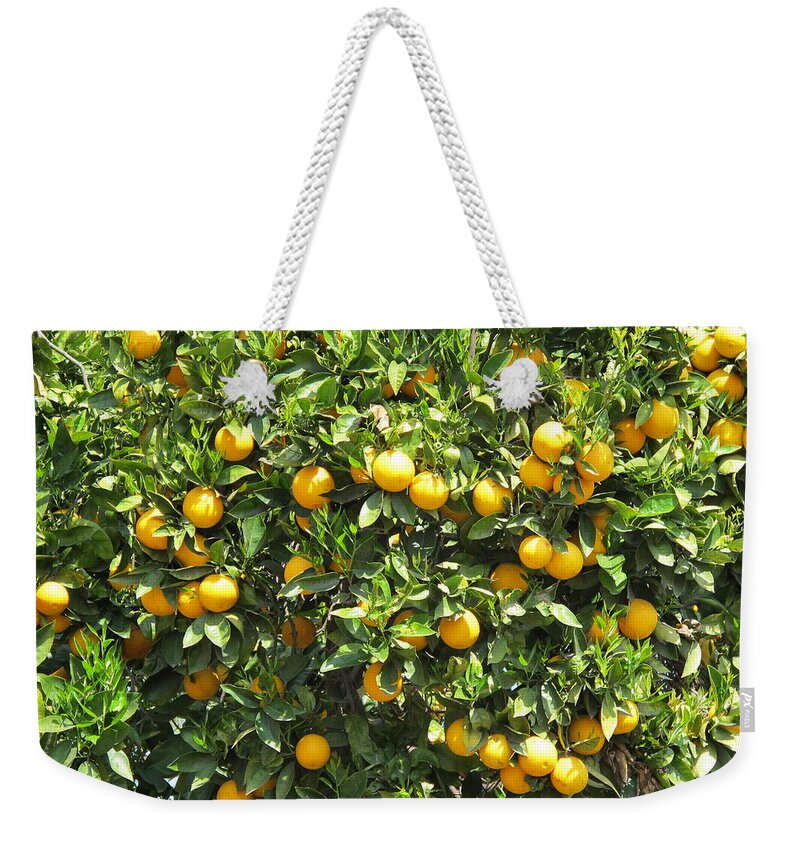 Lemons Weekender Tote Bag featuring the photograph Lemon Tree by Laura Smith