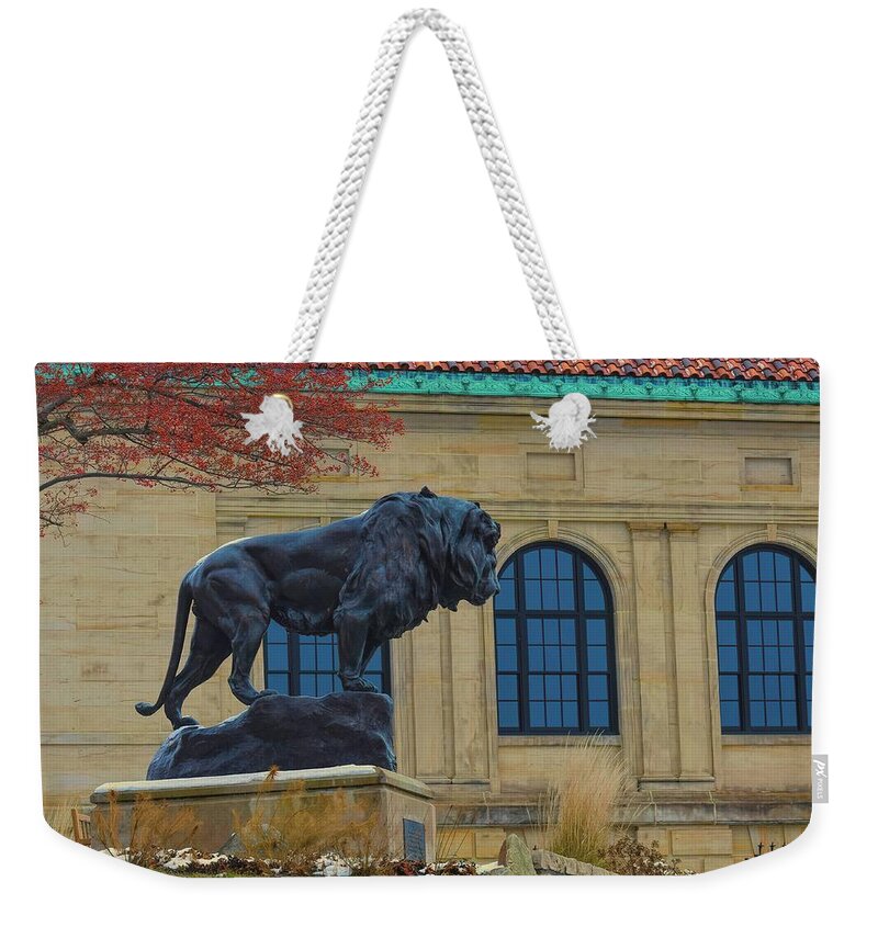  Weekender Tote Bag featuring the photograph Leo the Lion by Jack Wilson