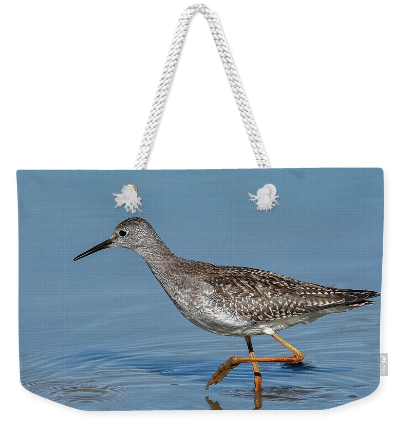 Nature Weekender Tote Bag featuring the photograph Lesser Yellowlegs Sandpiper DMSB0203 by Gerry Gantt
