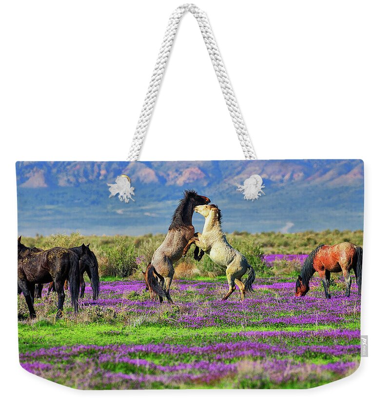 Horses Weekender Tote Bag featuring the photograph Let's Dance by Greg Norrell