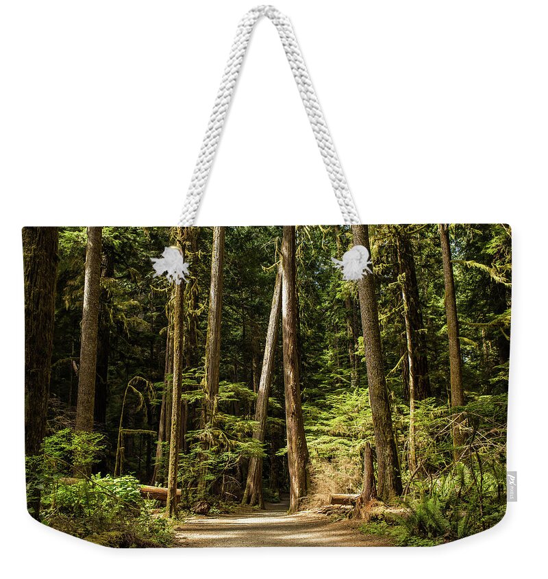 Hiking Trail Weekender Tote Bag featuring the photograph Let's go hiking, Olympic National Park, Mary Mere Fall, Washington by Julieta Belmont