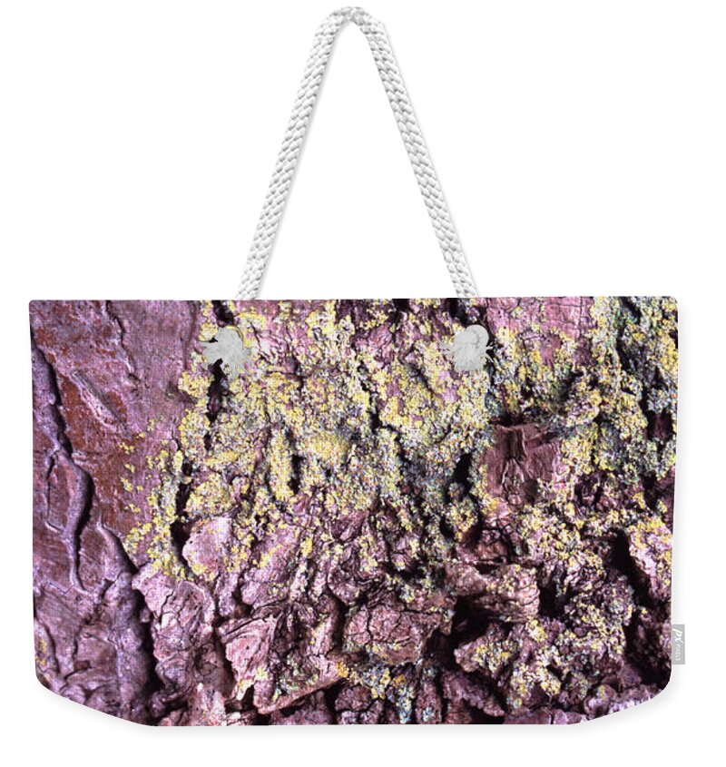 Built Structure Weekender Tote Bag featuring the photograph Lichen On Tree Bark by John Foxx