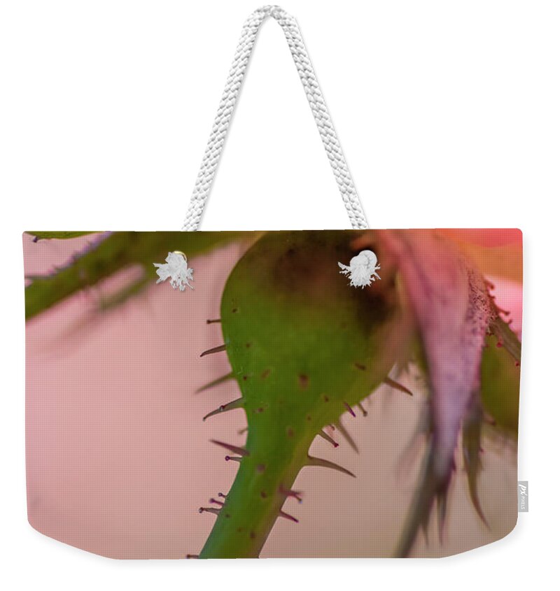Macro Weekender Tote Bag featuring the photograph Life Has Thorns by Ginger Stein