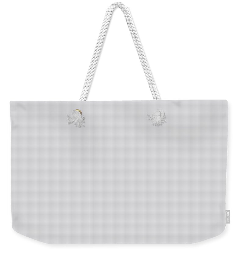 Gray Weekender Tote Bag featuring the digital art Light Gray Grey by Delynn Addams for Interior Home Decor by Delynn Addams