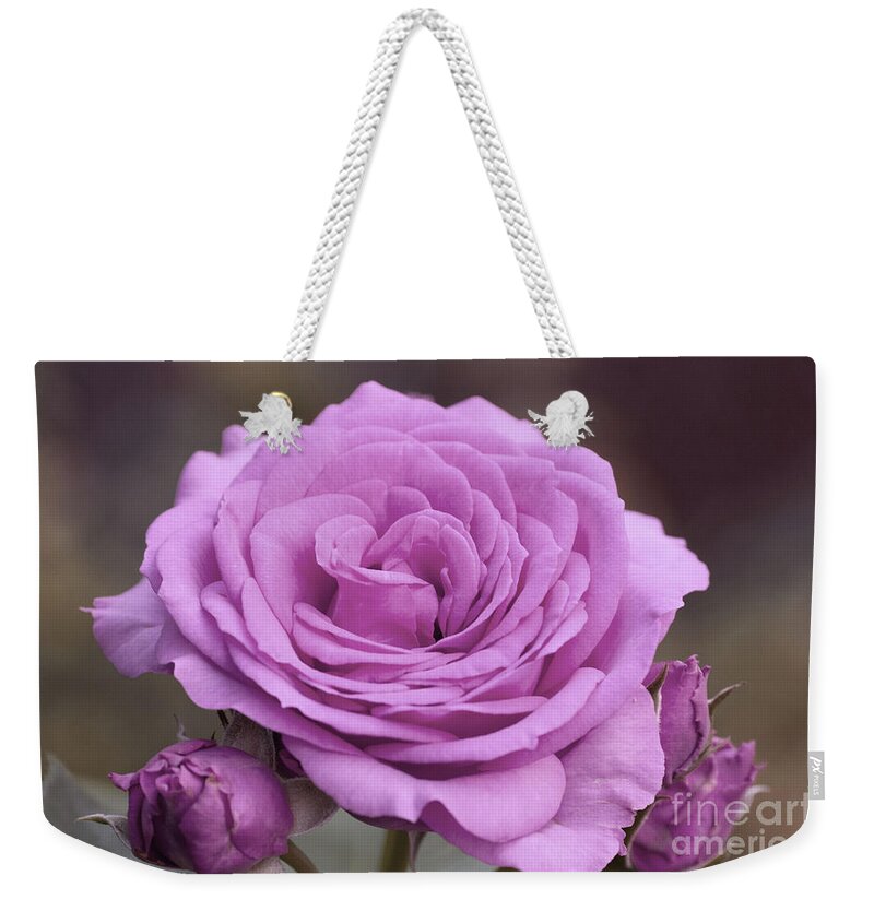 Color Weekender Tote Bag featuring the photograph Light Lilac Pink Rose #1 #floral #art by Anitas and Bellas Art
