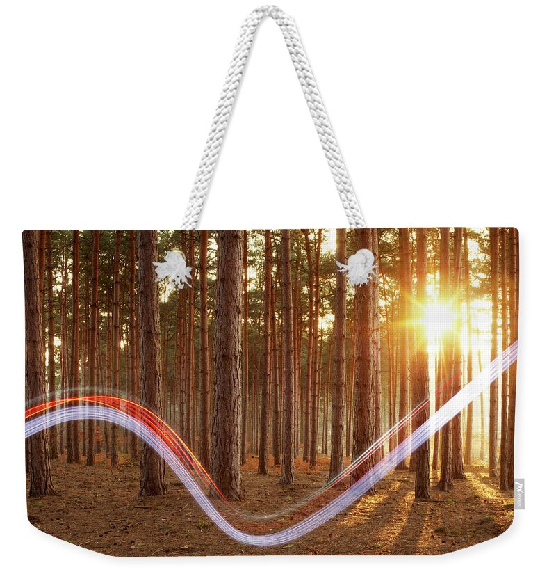 Environmental Conservation Weekender Tote Bag featuring the photograph Light Swoosh In Woods by Tim Robberts