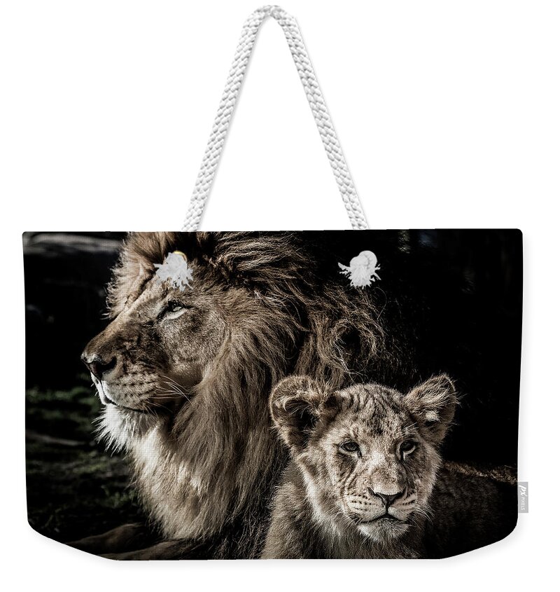 Africa Weekender Tote Bag featuring the photograph Like Father, Like Son by Ron Pate