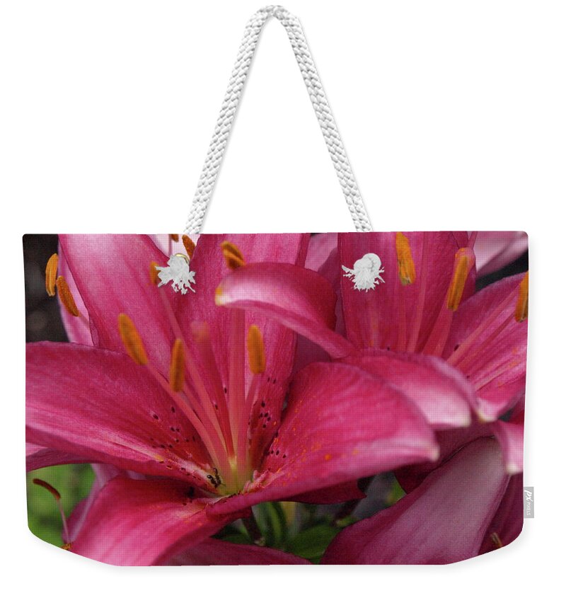 Lily Weekender Tote Bag featuring the photograph Lilixplosion 2 by Jeffrey Peterson