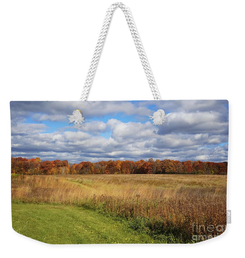 Line Of Autumnal Grace Weekender Tote Bag featuring the photograph Line of Autumnal Grace by Rachel Cohen
