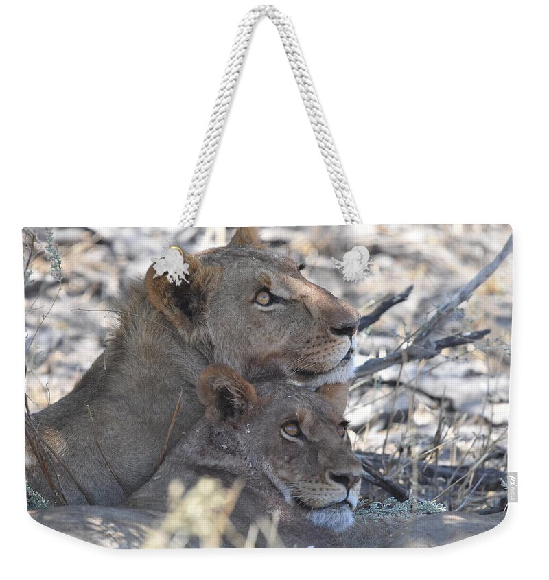 Lion Weekender Tote Bag featuring the photograph Lion Pair by Ben Foster