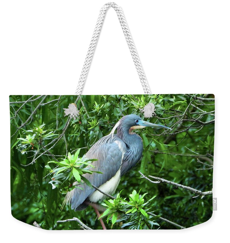 Little Blue Heron Weekender Tote Bag featuring the photograph Little Blue Heron II by Scott Cameron