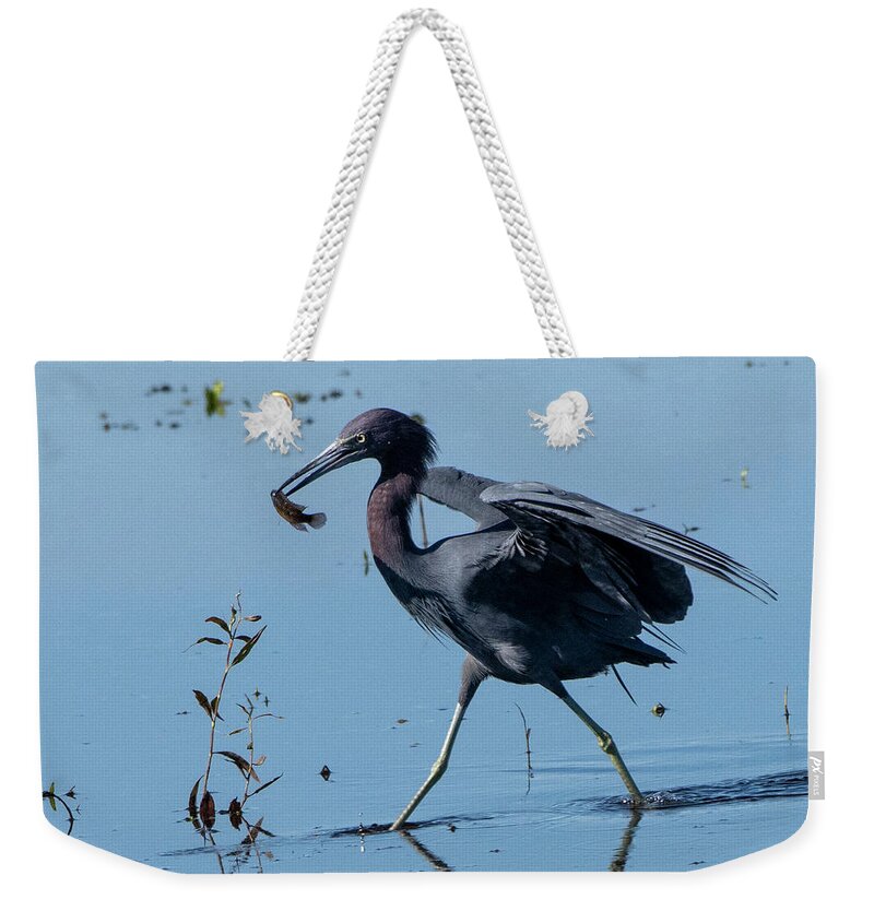Little Blue Heron Weekender Tote Bag featuring the photograph Little Blue Heron with Fish by Ken Stampfer