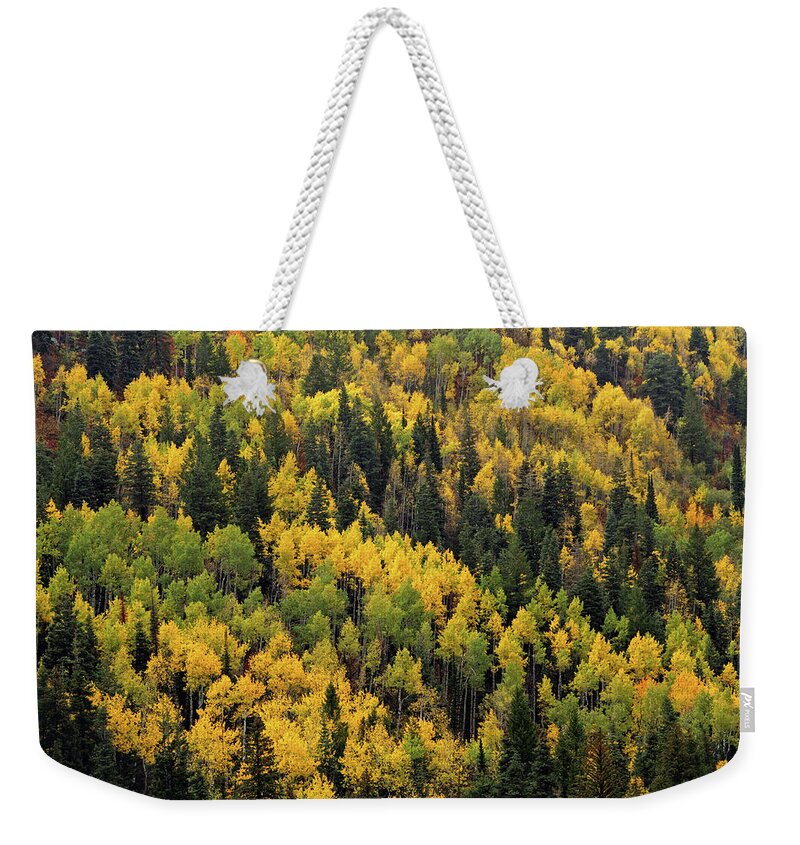  Weekender Tote Bag featuring the photograph Little Cottonwood Fall Color - Alta, Utah by Brett Pelletier