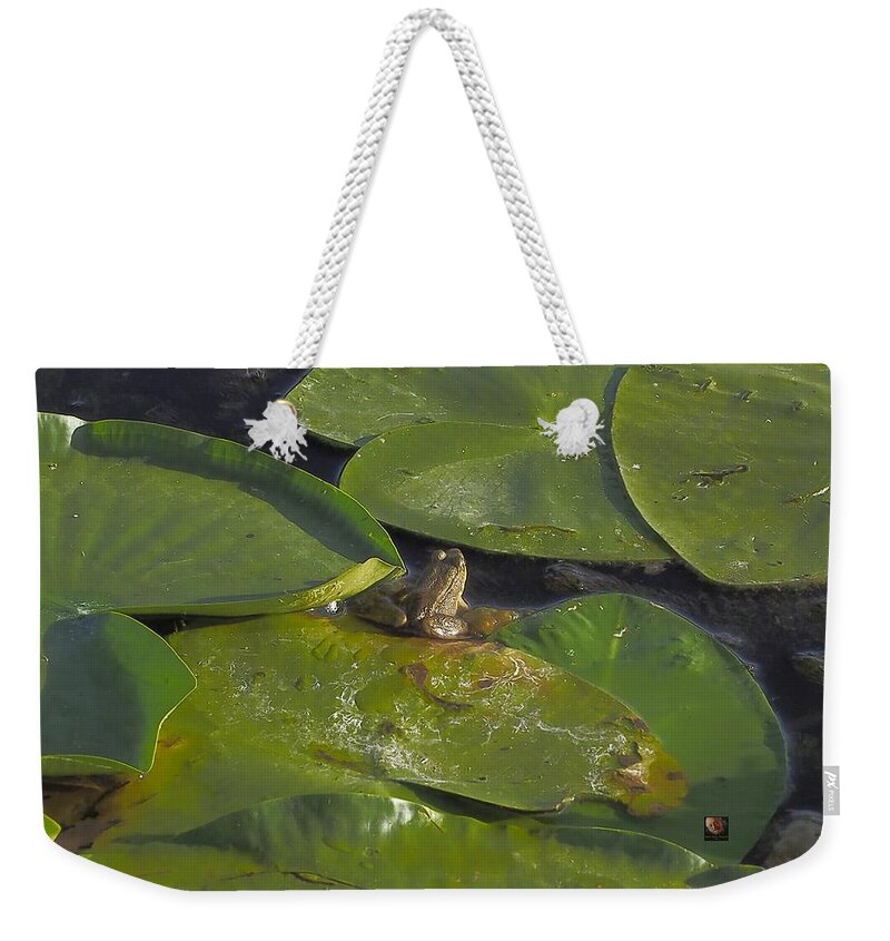 Animal Weekender Tote Bag featuring the photograph Little Frog by Richard Thomas