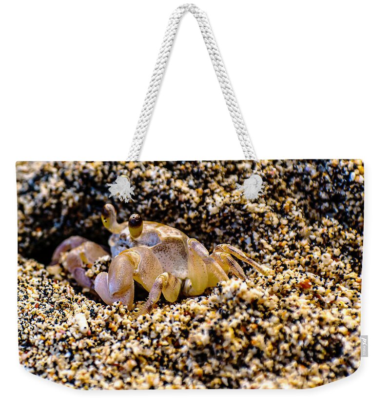 Wildlife Weekender Tote Bag featuring the photograph Little Sand Crab by John Bauer