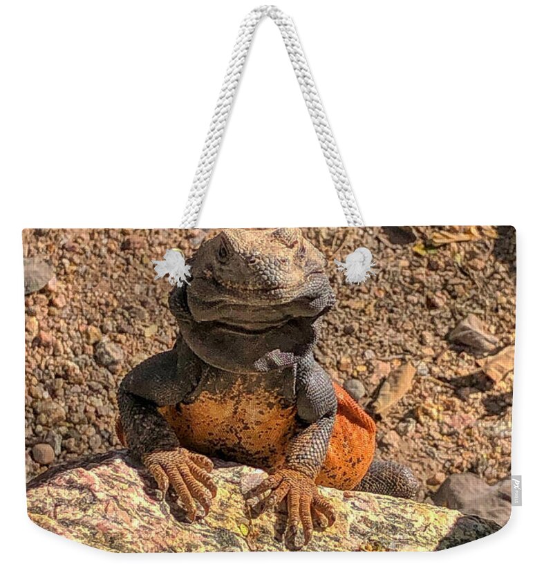 Lizard Weekender Tote Bag featuring the photograph Lizard Portrait by Anthony Giammarino