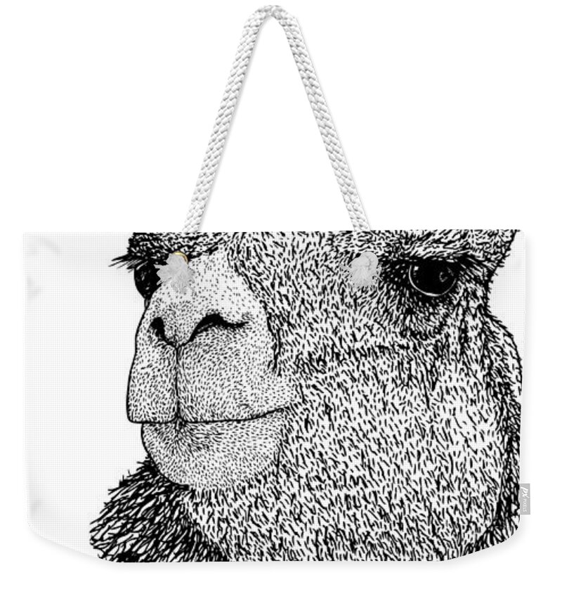 White Background Weekender Tote Bag featuring the digital art Llama by Drawings & Artwork By Karl Addison