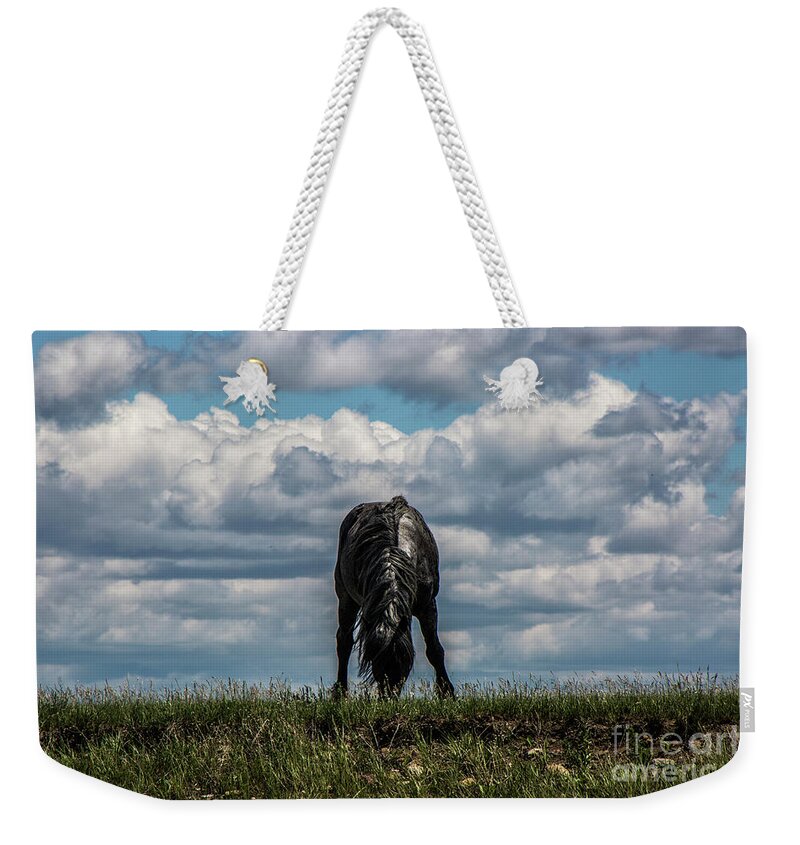Horse Weekender Tote Bag featuring the photograph Lone Black by Kathy McClure