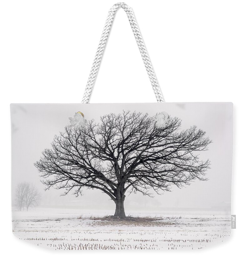 Oak Winter Snow Field Fog White Farm Rural Wi Wisconsin Stubble Stoughton Madison Corn Wi Wisconsin Farm Lonely Cold Tree Weekender Tote Bag featuring the photograph Lone Oak in Winter Fog near Stoughton WI by Peter Herman