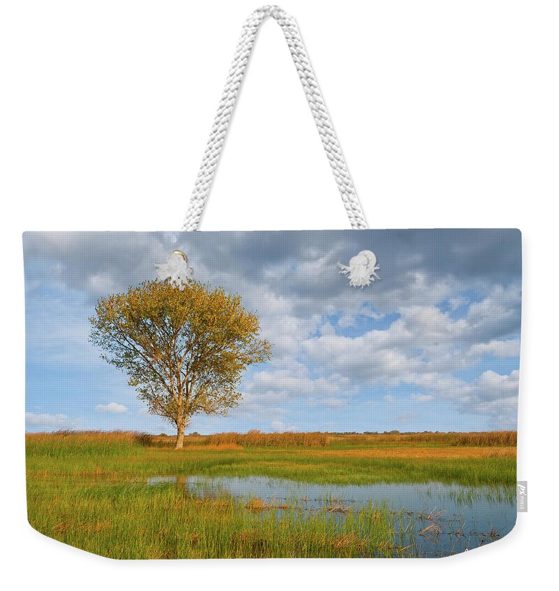 Autumn Weekender Tote Bag featuring the photograph Lone Tree by a Wetland by Jeff Goulden