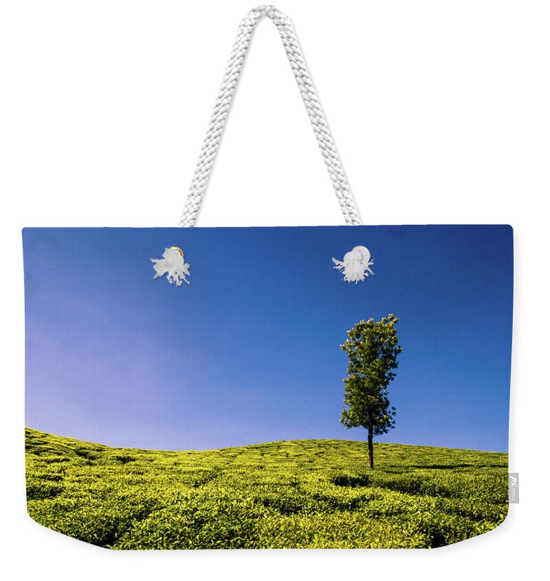 Scenics Weekender Tote Bag featuring the photograph Lone Tree In A Tea Plantation Near by Photograph By Jonah Murphy