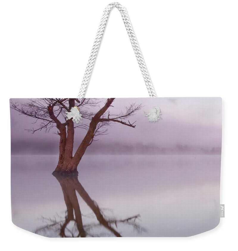 Landscape Weekender Tote Bag featuring the photograph Lone tree in still lake in the mist at sunrise by Anita Nicholson