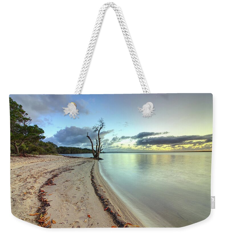 Tree Weekender Tote Bag featuring the photograph Lonely by Nicolas Lombard
