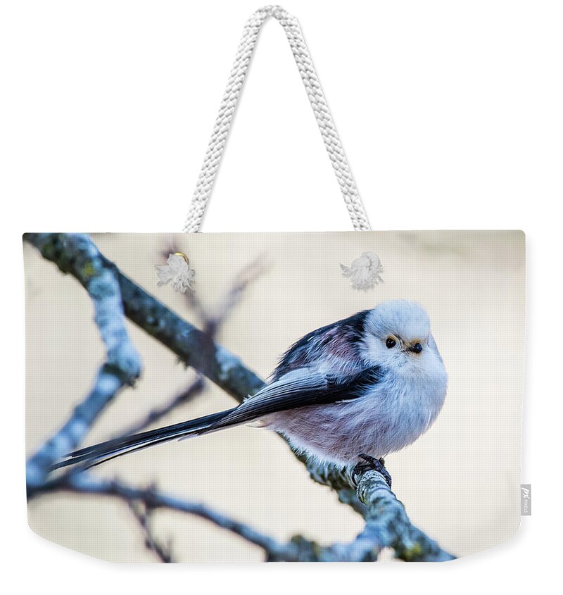 Long-tailed Tit Weekender Tote Bag featuring the photograph Long Tailed Tit perching on a twig by Torbjorn Swenelius