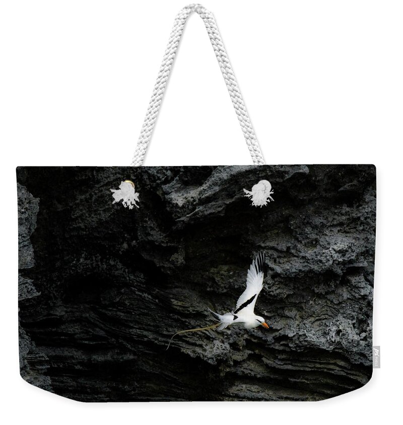 Atlantic Weekender Tote Bag featuring the photograph Longtail Deployment by Jeff at JSJ Photography