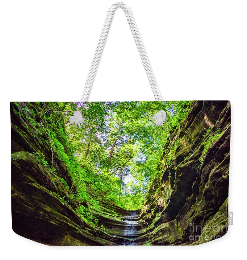 Starved Rock Weekender Tote Bag featuring the photograph Looking Skyward by Scott Smith