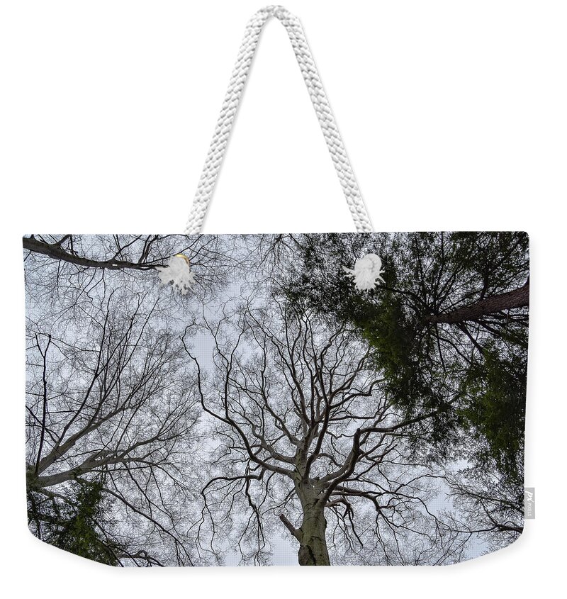 Looking Up Weekender Tote Bag featuring the photograph Looking Up by Michelle Wittensoldner