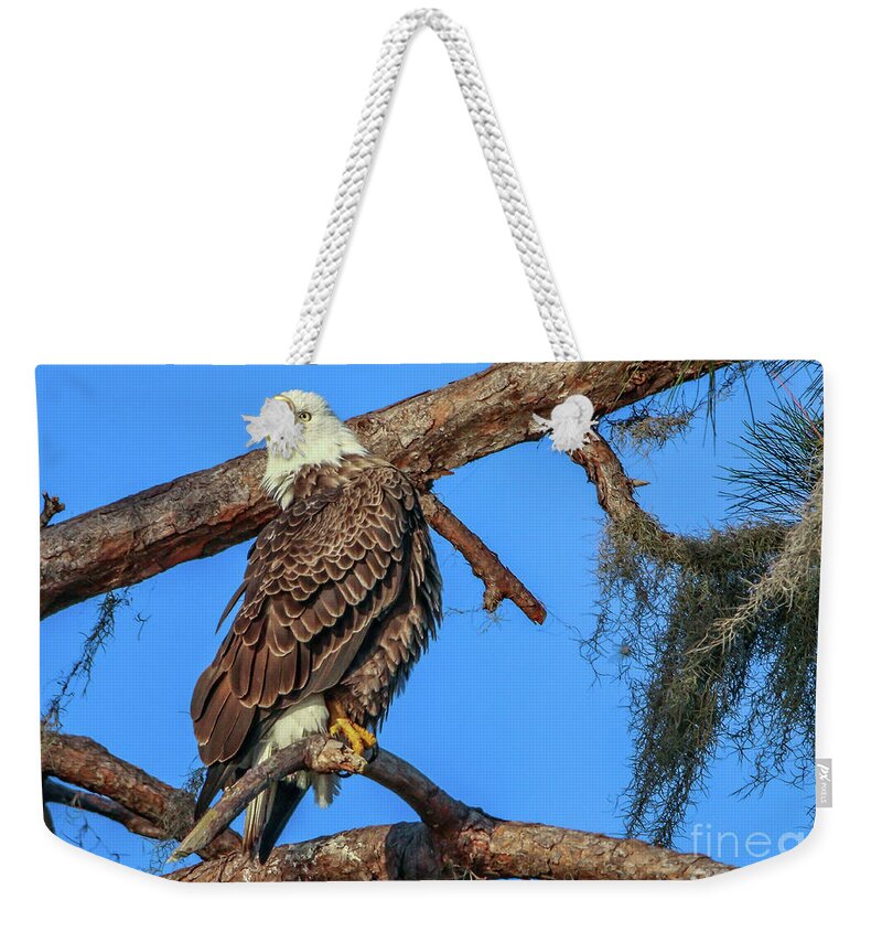 Eagle Weekender Tote Bag featuring the photograph Lookout Eagle by Tom Claud