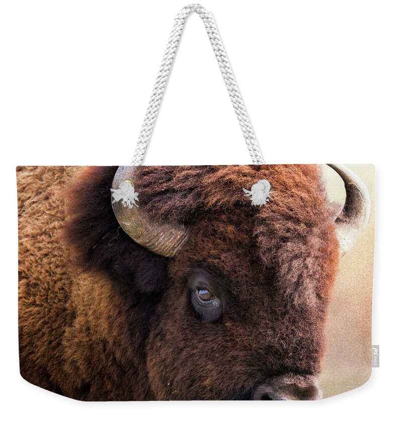 Bison Weekender Tote Bag featuring the photograph Lord of the plains by Ron McGinnis