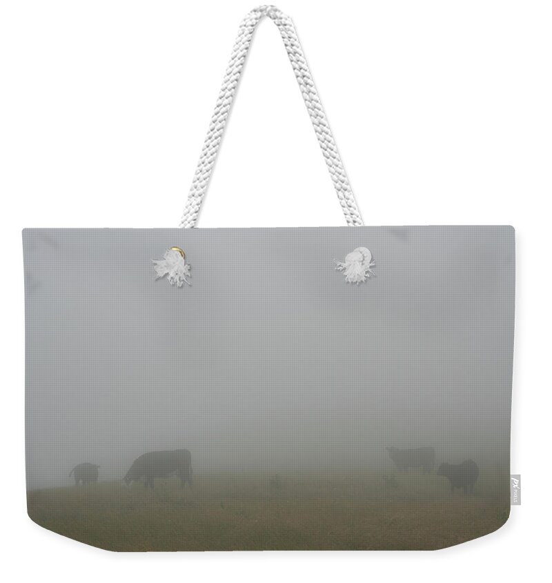 Lost Bovine Weekender Tote Bag featuring the photograph Lost Bovine by Dylan Punke